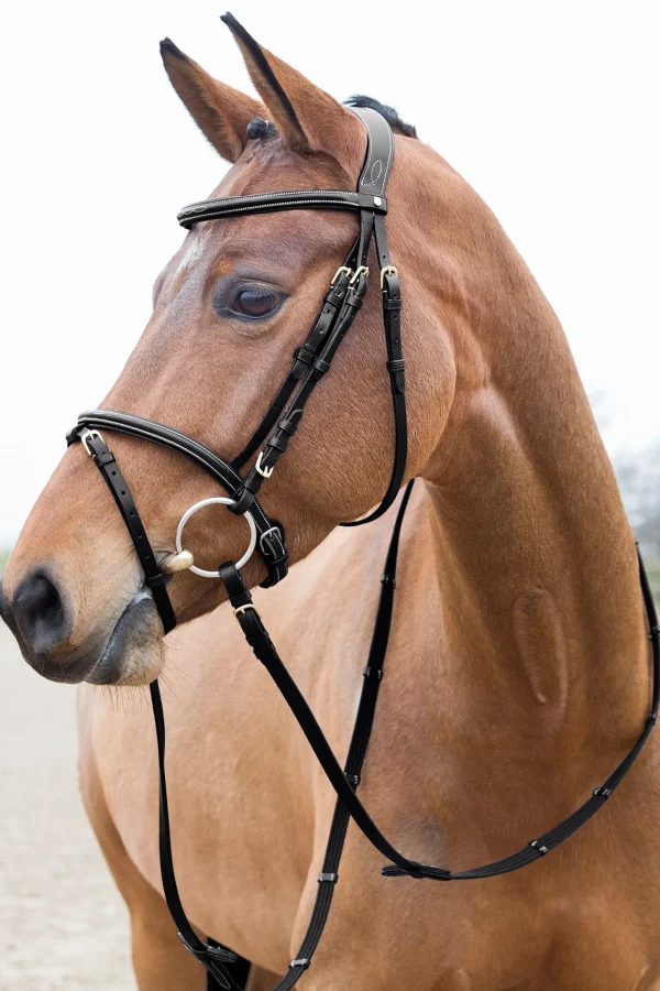 horze Constance polstret hodelag med flash-nesereim* Hodelag & Nesereimer
