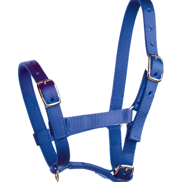 horze føllgrime, nylon* Grimer