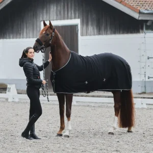 horze Kiel leietau* Leietau