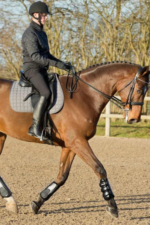 horze Laval belegg* Bakbeinsbelegg Og Stryksokker | Belegg Til Hest