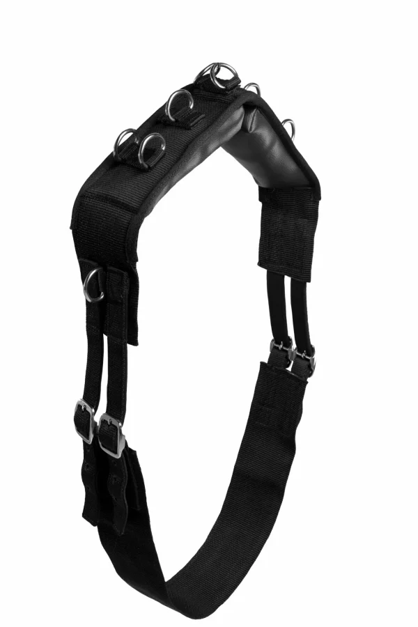 horze longeringsgjord i nylon* Longeringsliner Og Doble Longeringsliner | Longeringsliner Og Doble Longeringsliner