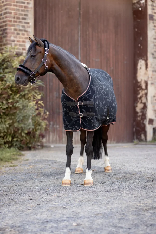 horze Pegasus fleece Cooler-dekken til ponni* Ponnidekken | Ponnidekken