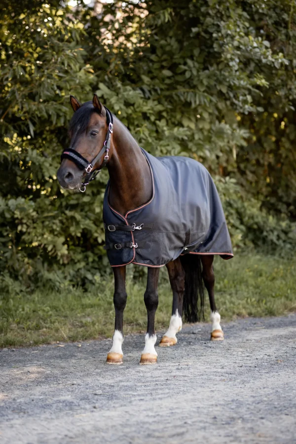 horze Pegasus ponnidekken med fleecefôr* Ponnidekken | Ponnidekken