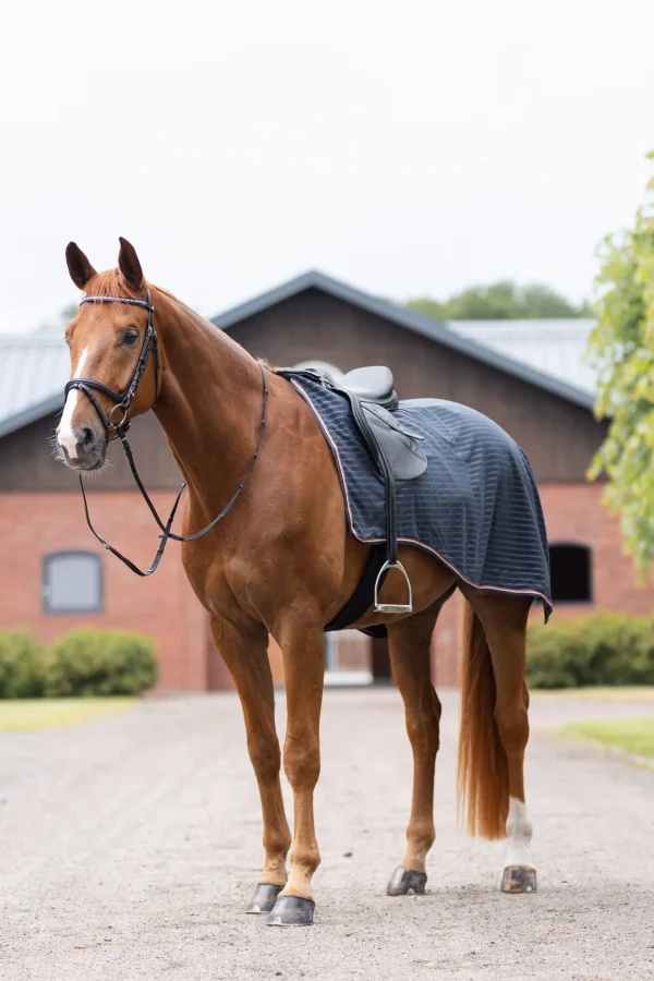 horze Physical Sophistication ridedekken* Ridedekken Og Walkerdekken
