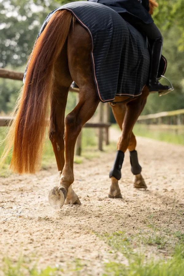 horze Physical Sophistication ridedekken* Ridedekken Og Walkerdekken