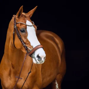 horze Positano Hannover anatomisk hodelag* Ponni Hodelag Og Grimer | Hodelag & Nesereimer