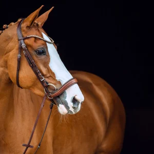 horze Positano Hannover anatomisk hodelag* Ponni Hodelag Og Grimer | Hodelag & Nesereimer