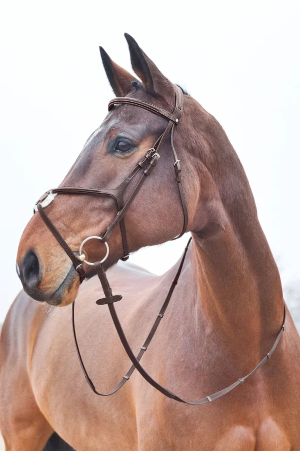 horze Prescott hodelag med kryssnesereim* Hodelag & Nesereimer