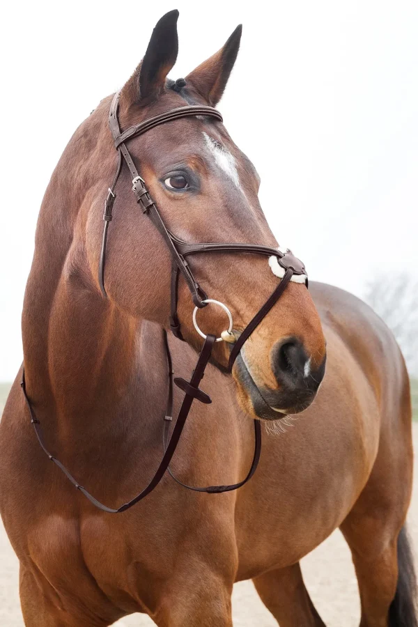horze Prescott hodelag med kryssnesereim* Hodelag & Nesereimer