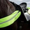 horze reflekterende fortøy* Refleks Til Hest | Refleks Til Hest