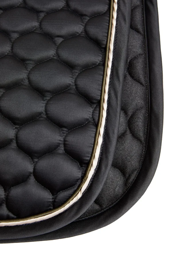horze Sandnes dressursjabrak* Dressursjabraker