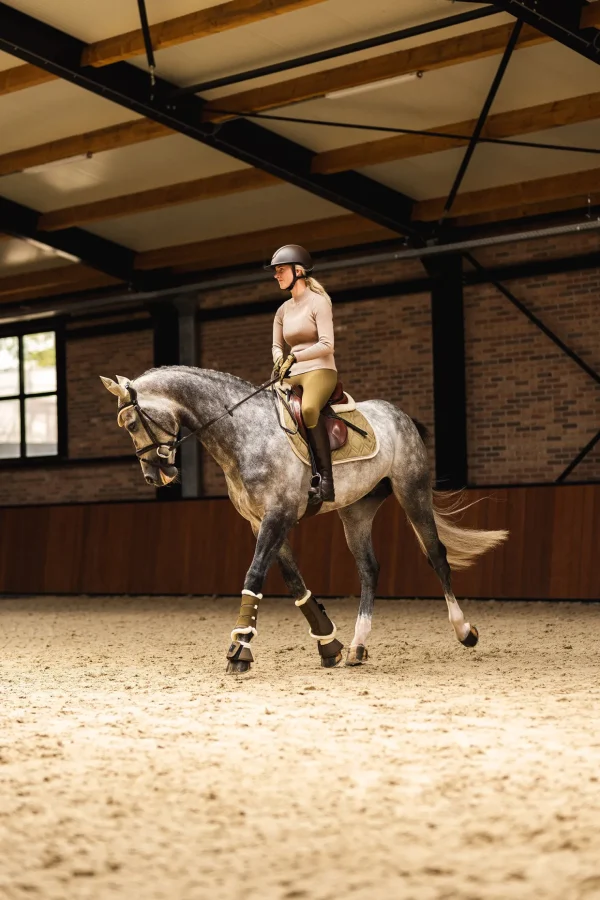 horze St. Moritz sprangsjabrak* Ponni Sjabrak | Allround- Og Sprangsjabraker