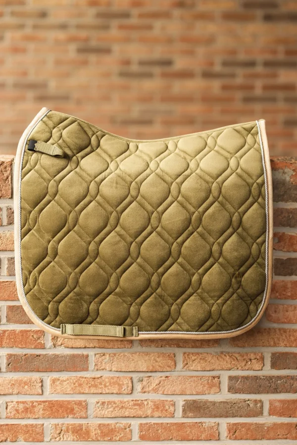 horze St. Mortiz dressursjabrak* Dressursjabraker