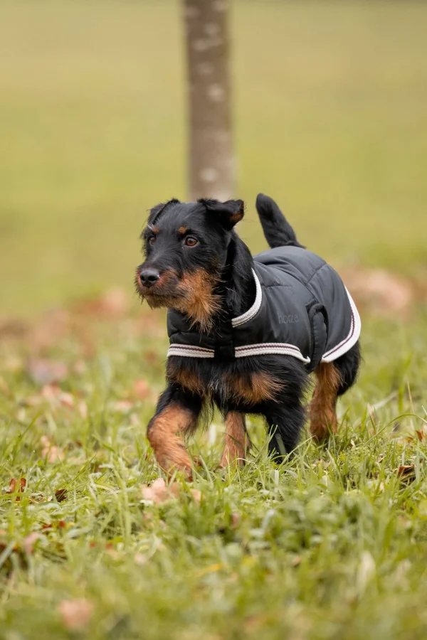 horze Sudbury 2-i-1 hundedekken, 0 og 100 gram* Hundeklær Og Hundedekken