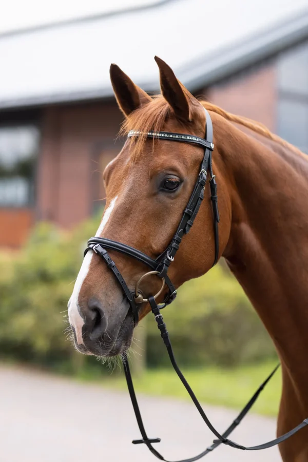 horze Weston hodelag* Ponni Hodelag Og Grimer | Hodelag & Nesereimer