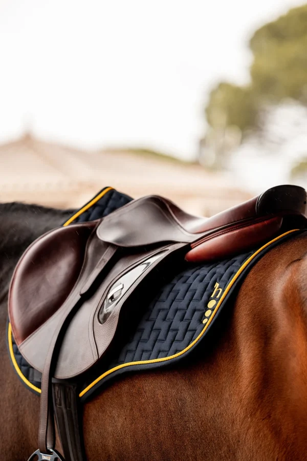 horze Wicklow allroundsjabrak* Ponni Sjabrak | Allround- Og Sprangsjabraker