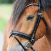 kavalkade Clinchesse Bridle* Ponni Hodelag Og Grimer | Hodelag & Nesereimer