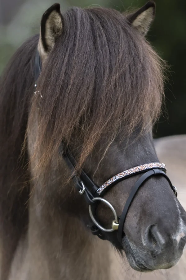 kavalkade Ferskja English Noseband for Aradis Icelandic Bridle* Hodelag & Nesereimer