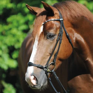 kavalkade Fiala Bridle* Ponni Hodelag Og Grimer | Hodelag & Nesereimer