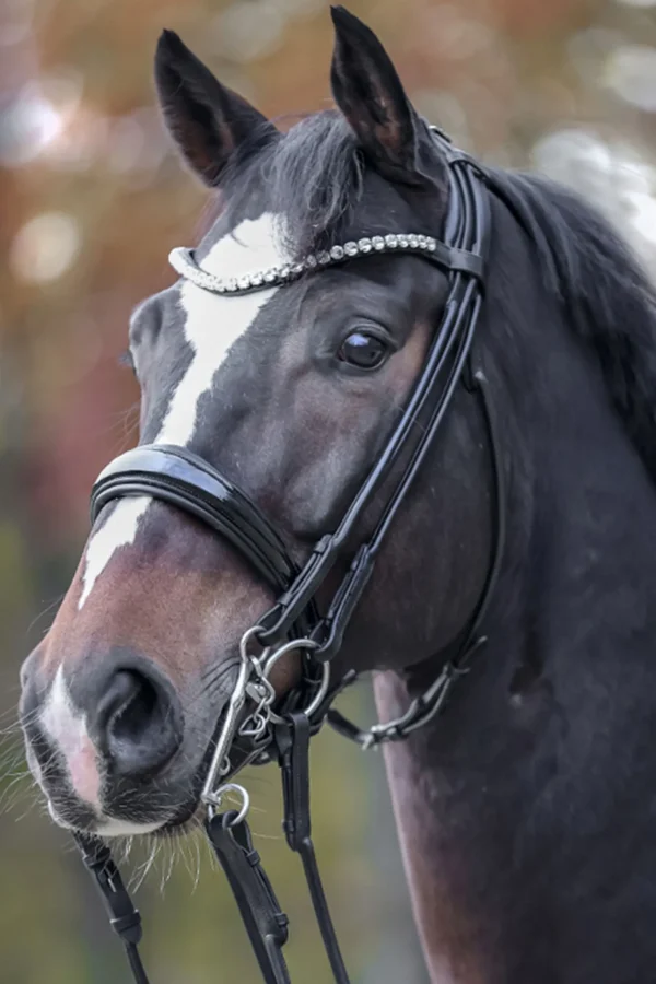 kavalkade Fleur Double Bridle* Hodelag & Nesereimer