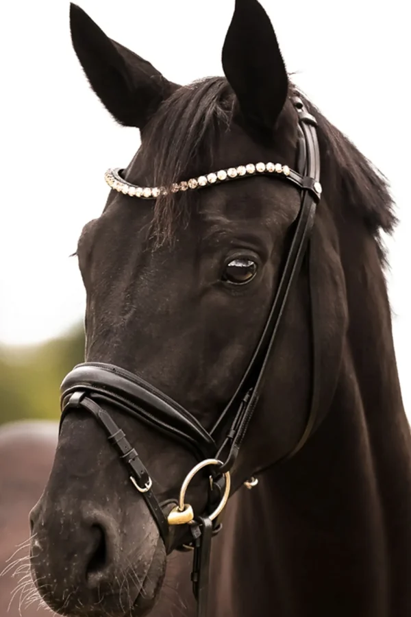 kavalkade Fortuna KavalSH4 Bridle* Ponni Hodelag Og Grimer | Hodelag & Nesereimer