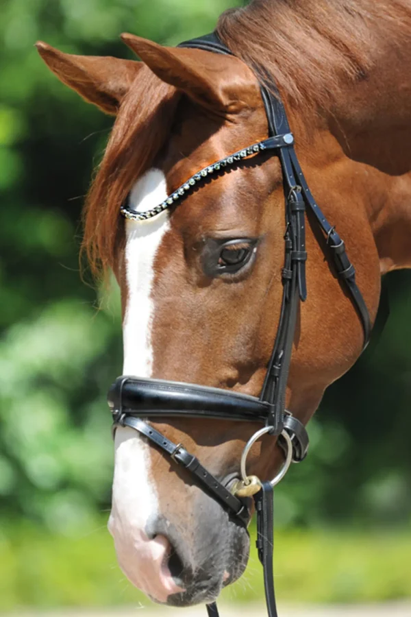 kavalkade Grey Bridle* Ponni Hodelag Og Grimer | Hodelag & Nesereimer