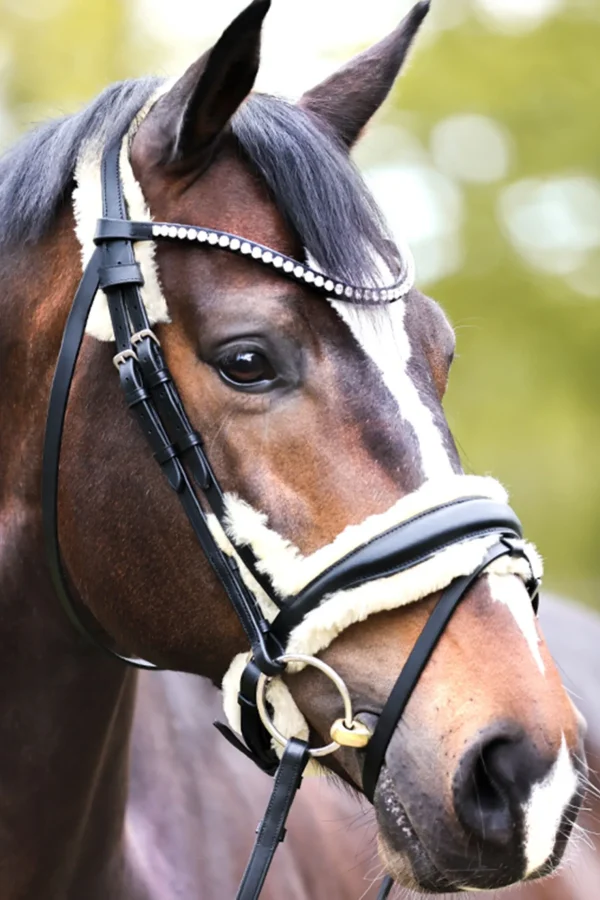 kavalkade Joyce KavalSH4 Bridle* Ponni Hodelag Og Grimer | Hodelag & Nesereimer