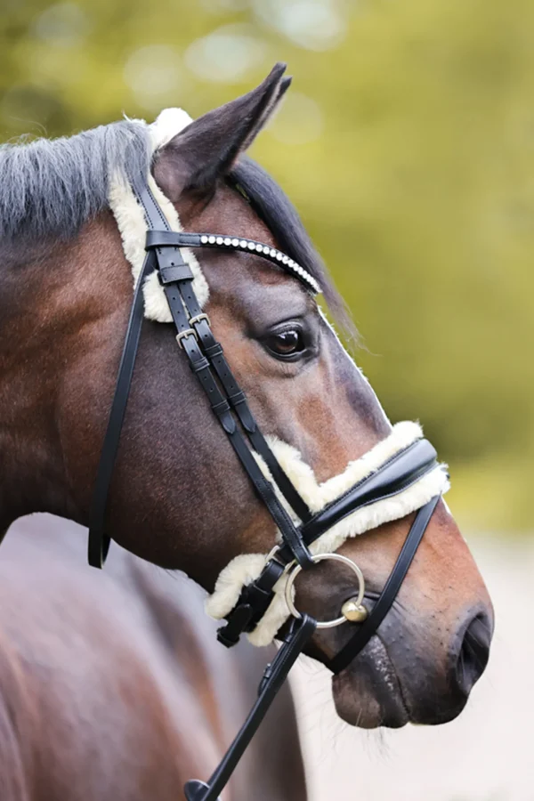kavalkade Joyce KavalSH4 Bridle* Ponni Hodelag Og Grimer | Hodelag & Nesereimer
