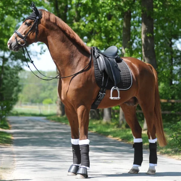 kavalkade KavalEasy Strass dressursjabrak* Dressursjabraker