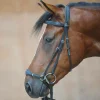 kavalkade Levana hodelag* Hodelag & Nesereimer