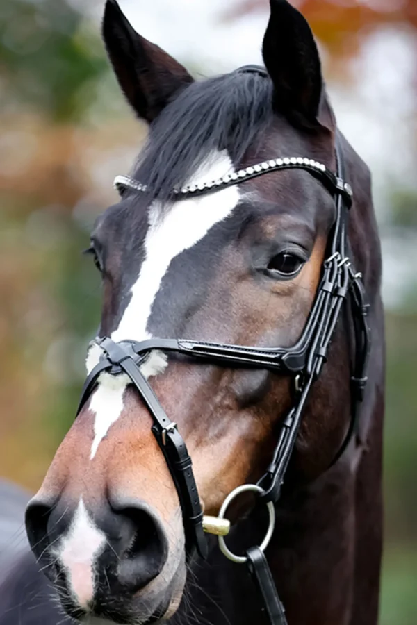 kavalkade Lucia Mexican Bridle* Hodelag & Nesereimer