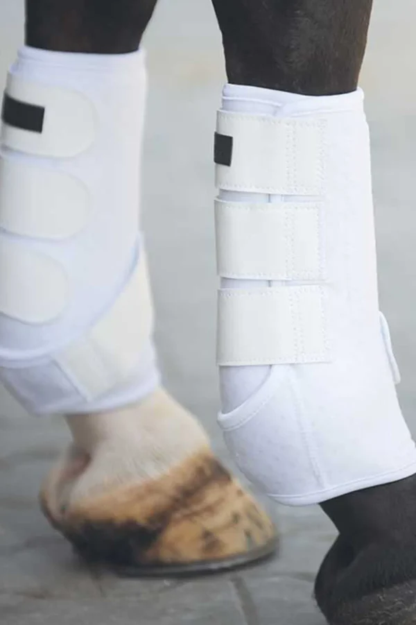 kavalkade neoprenbeskyttere* Belegg Til Hest