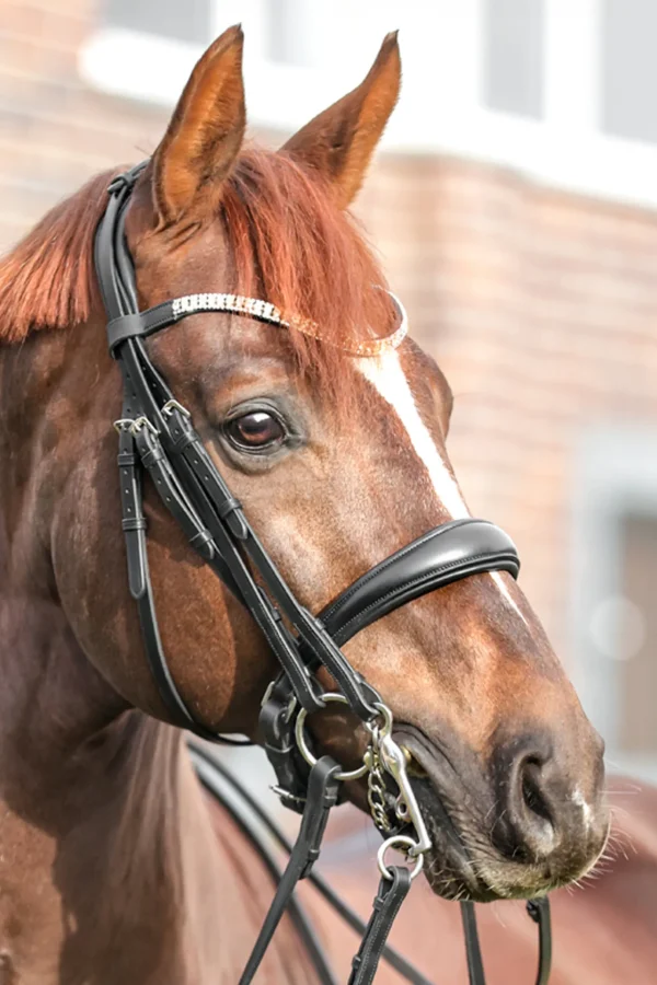 kavalkade Sonya Weymouth Bridle* Hodelag & Nesereimer
