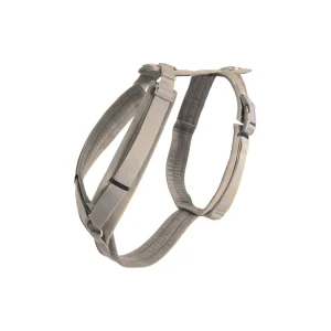 kentuckydogwear Kentucky Dogwear Active Velvet sele* Hundebånd | Hundeklær Og Hundedekken