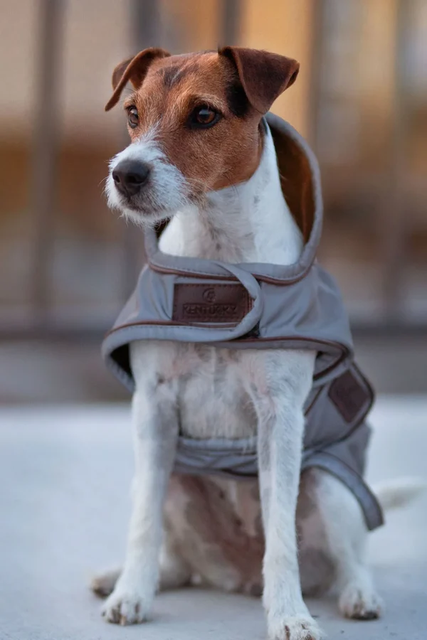 kentuckydogwear Kentucky Dogwear hundedekken, reflekterende og vannavvisende* Hundeklær Og Hundedekken