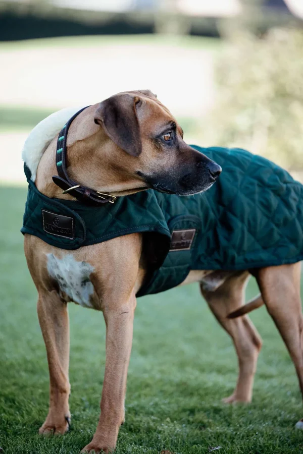 kentuckydogwear Kentucky Dogwear hundedekken* Hundeklær Og Hundedekken