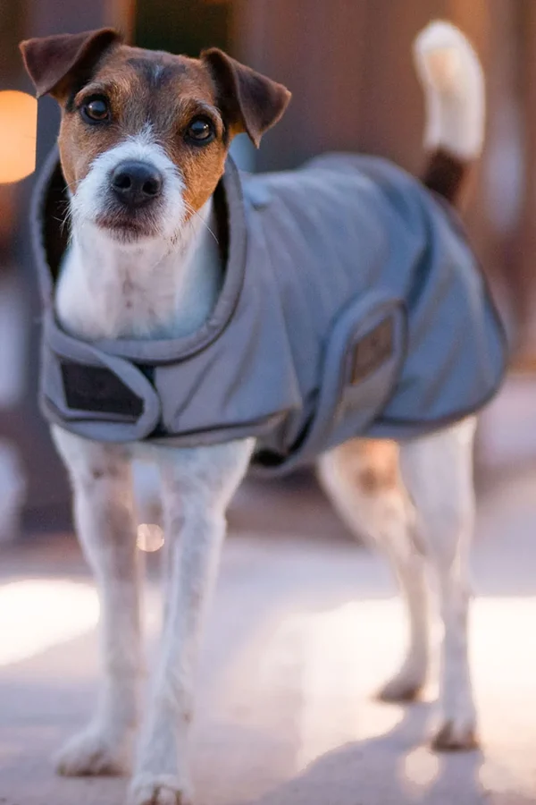 kentuckydogwear Kentucky Dogwear hundedekken, reflekterende og vannavvisende* Hundeklær Og Hundedekken