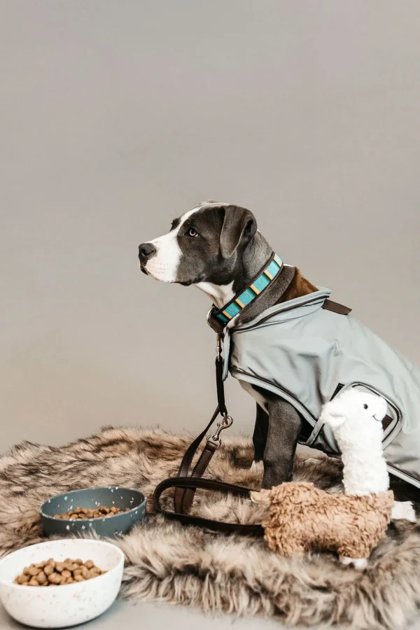 kentuckydogwear Kentucky Dogwear Hundehalsbånd med Perler* Hundebånd