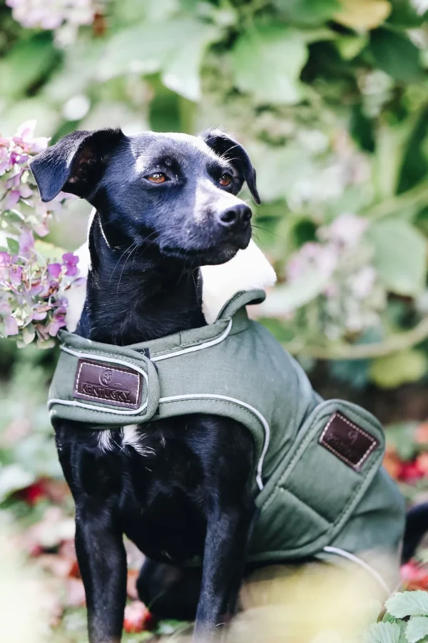 kentuckydogwear Kentucky Dogwear vanntett hundedekken* Hundeklær Og Hundedekken