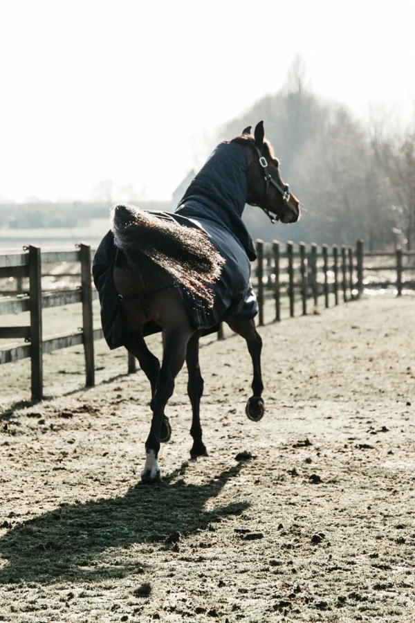 kentucky Horsewear All Weather Waterproof Classic utedekken, 50 gram* Regndekken