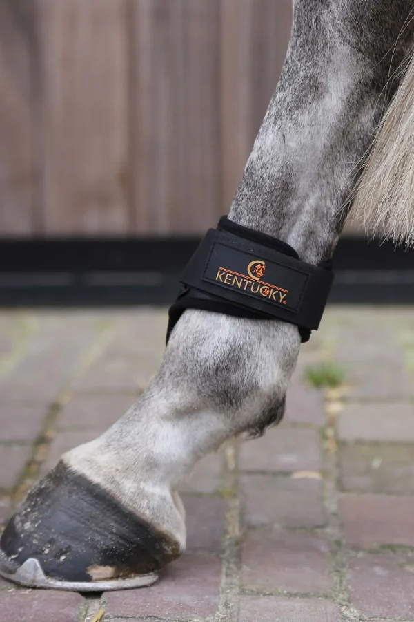 kentucky Horsewear bakbeinsbelegg til unghest* Bakbeinsbelegg Og Stryksokker