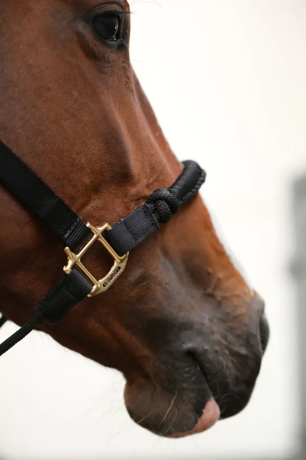 kentucky Horsewear Control grime* Grimer