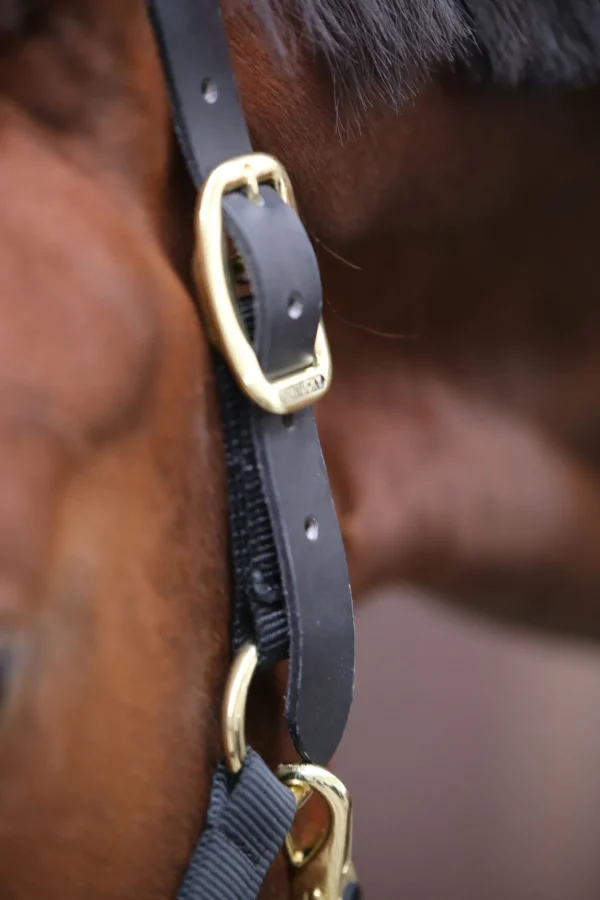 kentucky Horsewear Control grime* Grimer