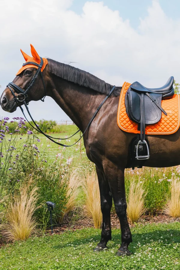 kentucky Horsewear dressursjabrak Diamond Rope* Dressursjabraker