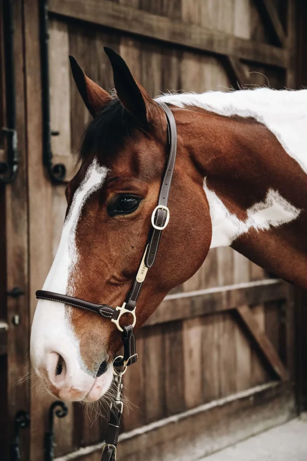 kentucky Horsewear lærgrime for stell* Lærgrimer