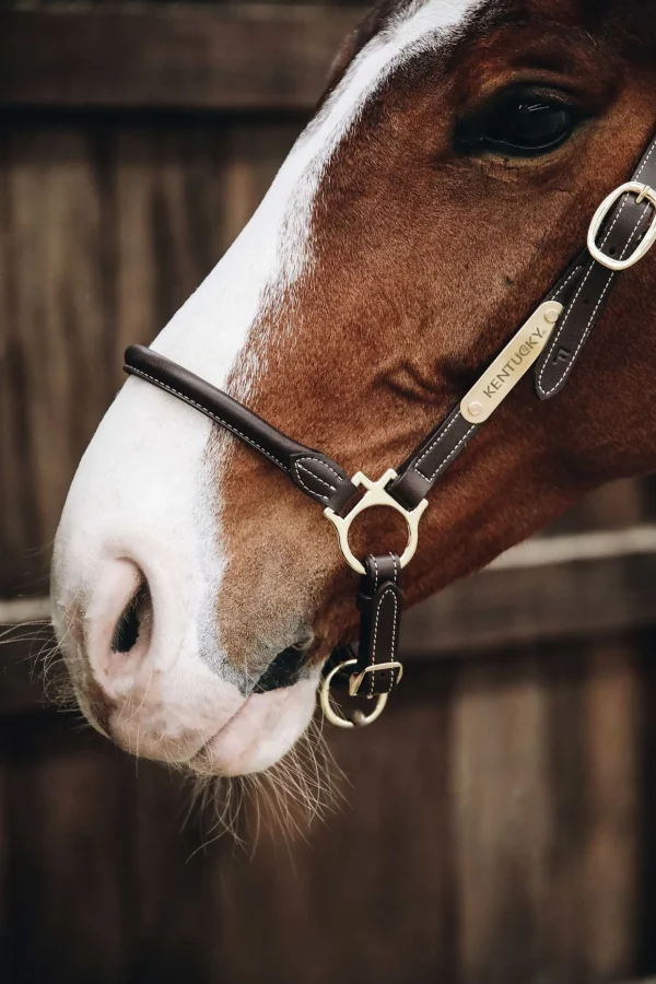 kentucky Horsewear lærgrime for stell* Lærgrimer