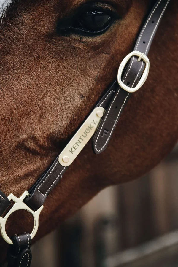 kentucky Horsewear lærgrime for stell* Lærgrimer