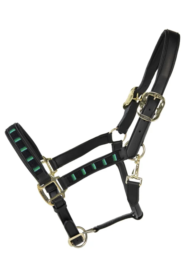 kentucky Horsewear Pearls grime* Grimer