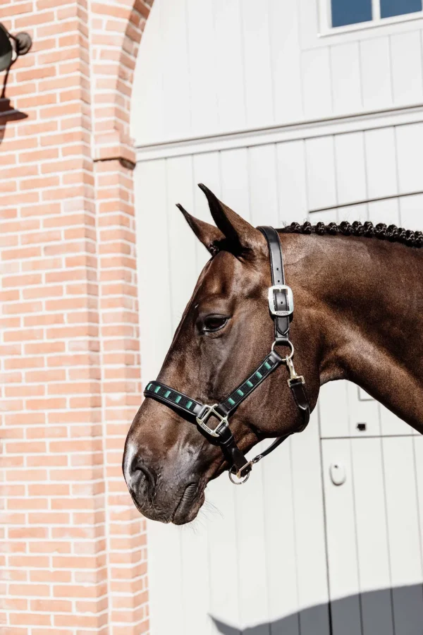 kentucky Horsewear Pearls grime* Grimer