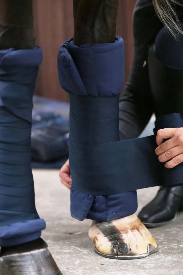 kentucky Horsewear vatterte bandasjeunderlag, sett med 4* Bandasjeunderlag Til Hest
